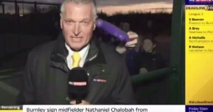 Video: The definitive best sports news bloopers compilation of 2014