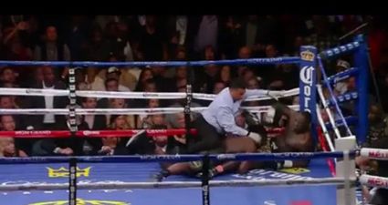 VINE: Bermane Stiverne used a rugby tackle to try and win a world boxing title