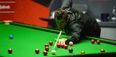 Ronnie O’Sullivan is not too happy about the new venue for the Welsh Open