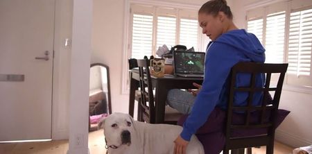 Video: Ronda Rousey spanks her dog and plays World of Warcraft in UFC 184 Embedded