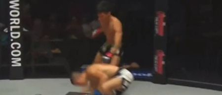 VINE: Gianni Subba finishes fight with brutal soccer kick knockout