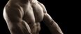 FITNESS: Bulking for beginners – everything you need to know about the neverending quest for muscle