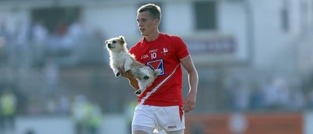 Another Irishman will make his debut in the AFL this weekend