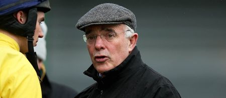 Ted Walsh said the most Ted Walsh thing ever today at Punchestown