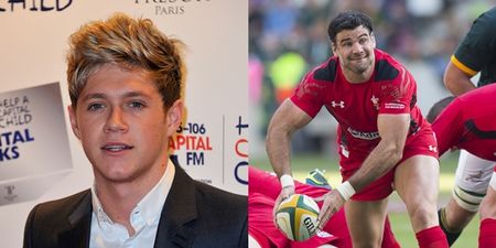 Niall Horan hits back at Wales Mike Phillips troll attempt with zinger of a tweet