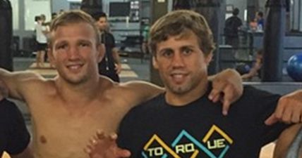 Urijah Faber’s reasons for not wanting TJ Dillashaw grudge match are very understandable