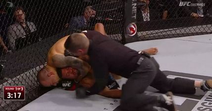 WATCH: Fighters, coaches and fans were not happy with the stoppage of Tibau vs. Trujillo