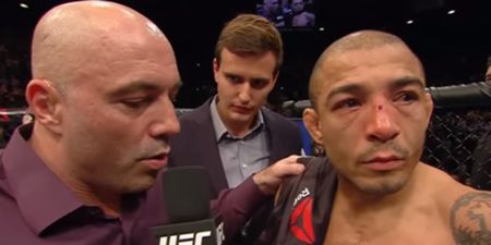 Joe Rogan apologises to Jose Aldo