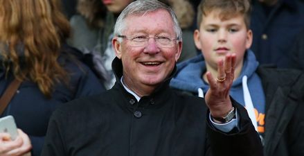 Alex Ferguson could return to Manchester United set-up if Louis van Gaal is sacked