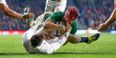VIDEO: Joe Schmidt simmers over Josh van der Flier’s try that never was