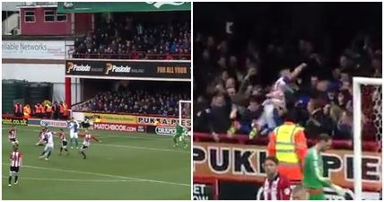 VIDEO: Shane Duffy’s late left-footed golazo sparks greatest celebration of all time