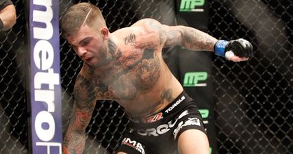 WATCH: Unranked Cody Garbrandt storms into title contention with furious first-round flurry