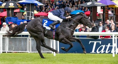 Royal Ascot 2016: Top tips for day one courtesy of Hayley O’Connor of Ladbrokes