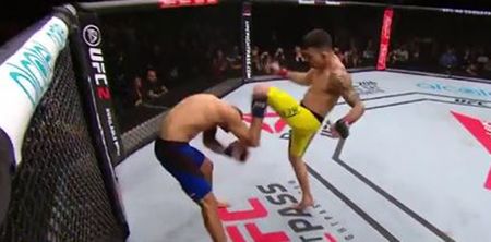 WATCH: Knockout artist Thomas Almeida rebounds from first career loss in most violent way possible