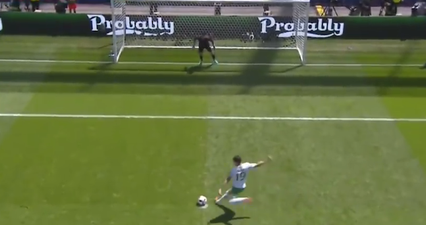 VIDEO: Spine-tingling recap of 2016 will make you proud to be Irish