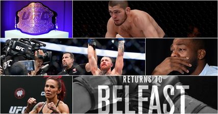 Only the most hardcore of fight fans will get 20/20 in our big, fat UFC quiz of the year