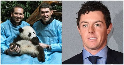 Padraig Harrington and Sergio Garcia settle it once and for all at Rory McIlroy’s wedding