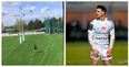 WATCH: Dan Carter’s kicking drill shows why he is still the best in the world