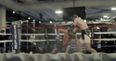 Footage emerges of Conor McGregor vs. Paulie Malignaggi sparring session