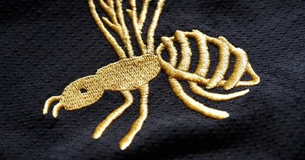 The Irish provinces could learn from Wasps’ pristine new jerseys