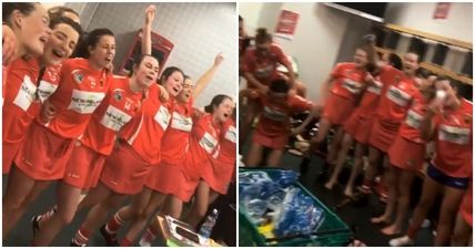 Cork’s changing room celebrations sum up what they just did