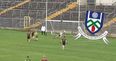 Goalkeeper in Monaghan makes six one-on-one saves in minor final