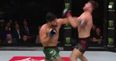 WATCH: Michael Bisping knocked out for second time in three weeks