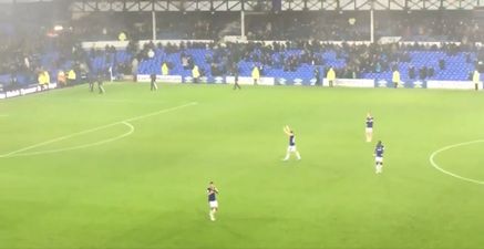 Everton fans want Seamus Coleman to be their next captain