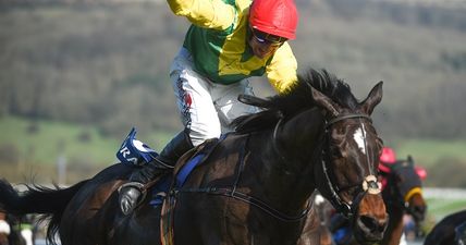 Supasundae downs Faugheen but Champion Hurdle looks unlikely