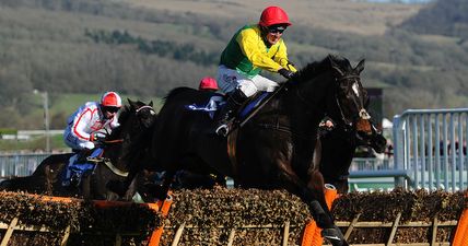 The tasty Cheltenham treble you should be on for 11/1 today