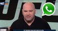 Dana White reveals worrying details of text conversation with Conor McGregor