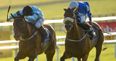 Three-horse each way accumulator for Saturday’s Curragh racing