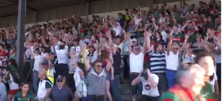 The euphoric reaction in the stands to Kildare’s win over Mayo in Newbridge