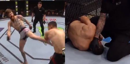 UFC fighter absolutely demolishes opponent in return from gruesome testicle injury
