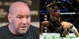 Dana White reveals his justification for harshly criticising so many UFC stars’ performances