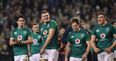 Large number of Irish fans believe Ireland can win the World Cup