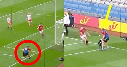 Cork physio wins hearts of the country with wild celebrations as Rebels catch fire