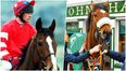 Can you name the legendary Irish horses from their photo?