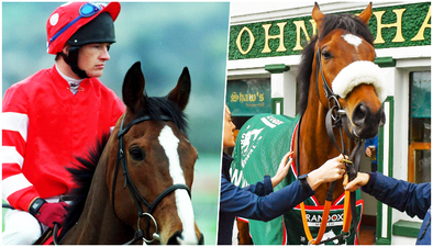 Can you name the legendary Irish horses from their photo?