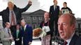 Inside Shane Ross’ diary: the wrong man in the wrong job