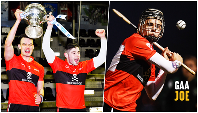 Cork greyhound runs on air to bring Fitzgibbon to ‘The College’ once more