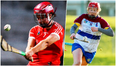 Sigerson exhibition and hometown heartbreak as UL leave it late