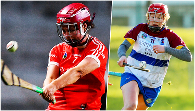 Sigerson exhibition and hometown heartbreak as UL leave it late