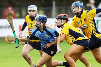 “We were born into it. We don’t really have much of a hope!”