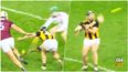 Moment of Richie Hogan genius inspires Kilkenny to a classic Kilkenny victory