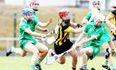Champions Kilkenny show their mettle to overcome Limerick scare