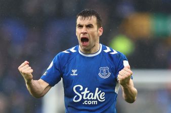 BT pundit’s comments on Seamus Coleman reminds us how iconic the Irishman is