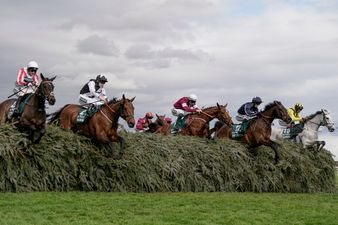 Grand National 2025: Five Irish horses to follow