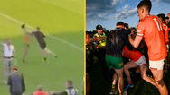 Fans think they have identified main culprit in Donegal/Armagh brawl