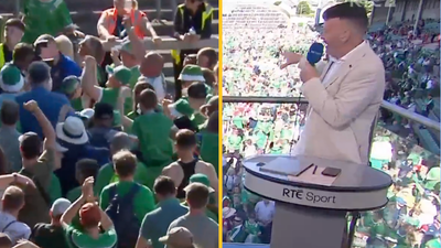 Limerick fans try their best to provoke Dónal Óg after Cork hammering